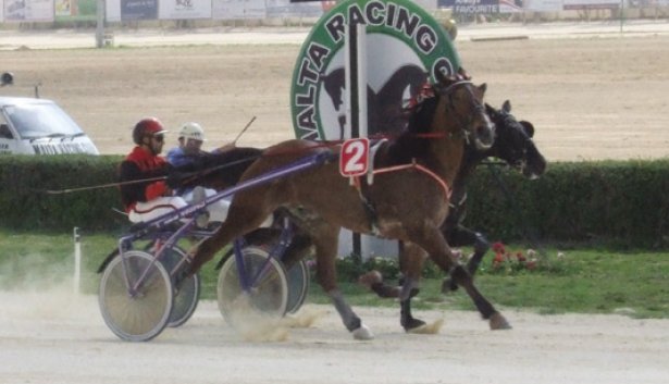 Marsa Horse Racing Track Malta  
